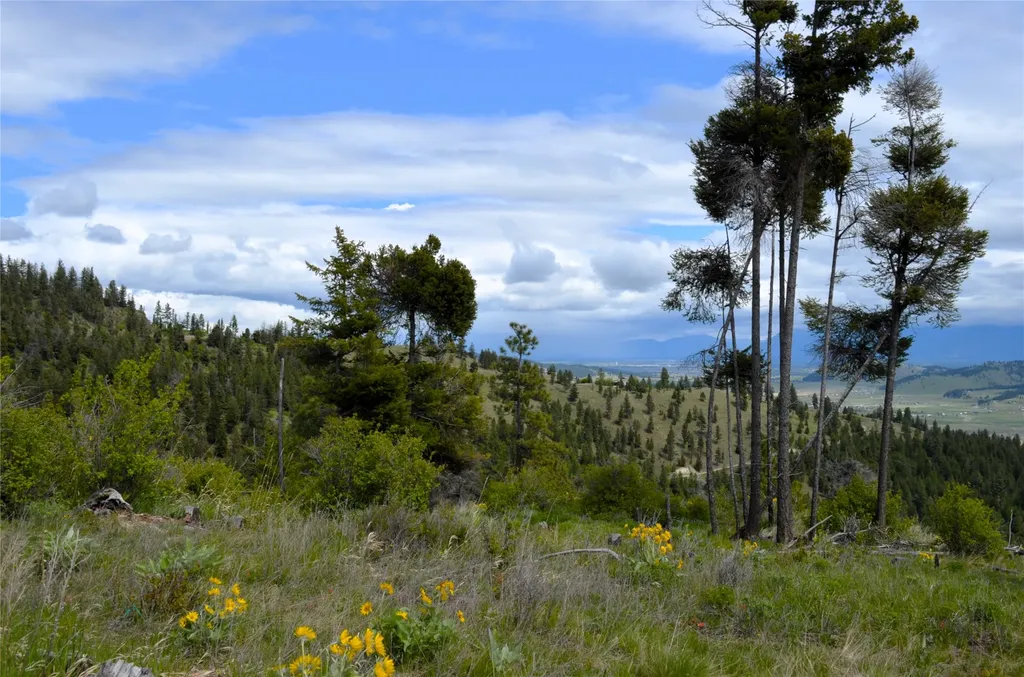 Nhn Bugler Trail Kila MT 59920