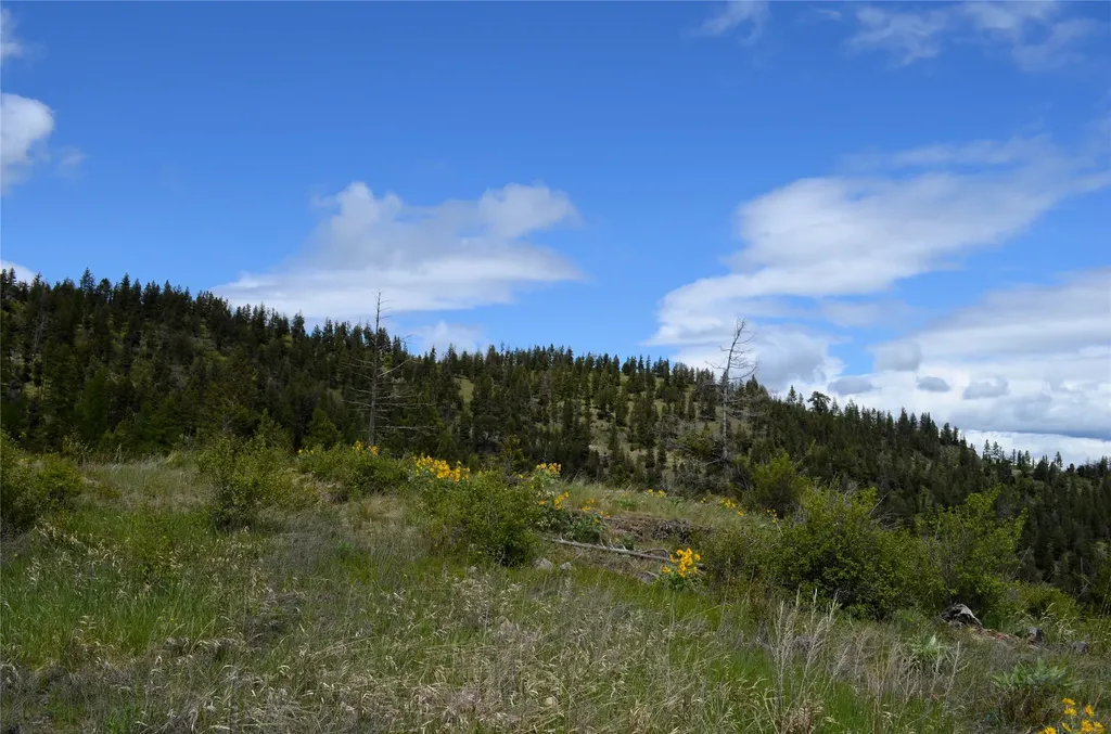 Nhn Bugler Trail Kila MT 59920