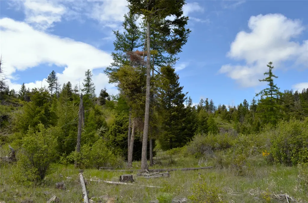 Nhn Bugler Trail Kila MT 59920