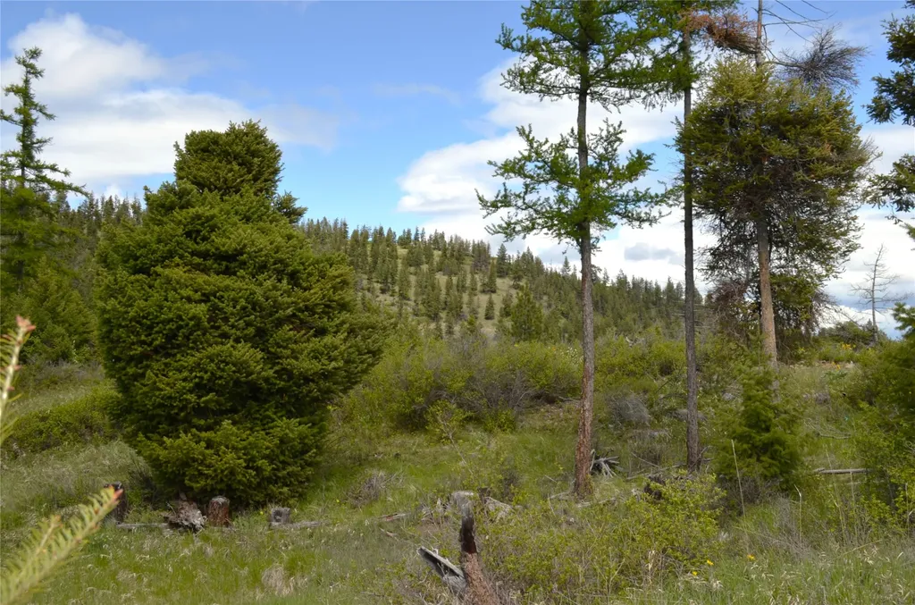 Nhn Bugler Trail Kila MT 59920
