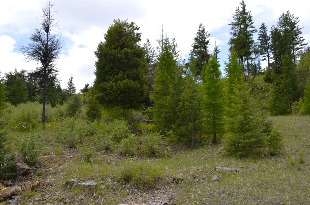 Nhn Bugler Trail Kila MT 59920
