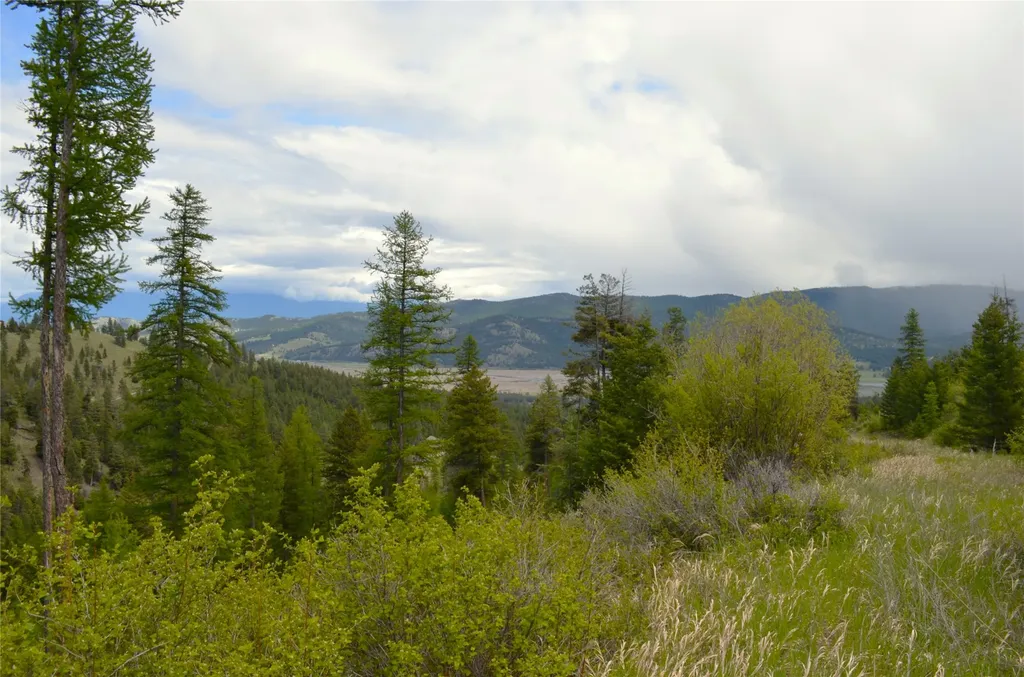 Nhn Bugler Trail Kila MT 59920