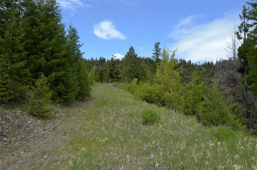 Nhn Bugler Trail Kila MT 59920