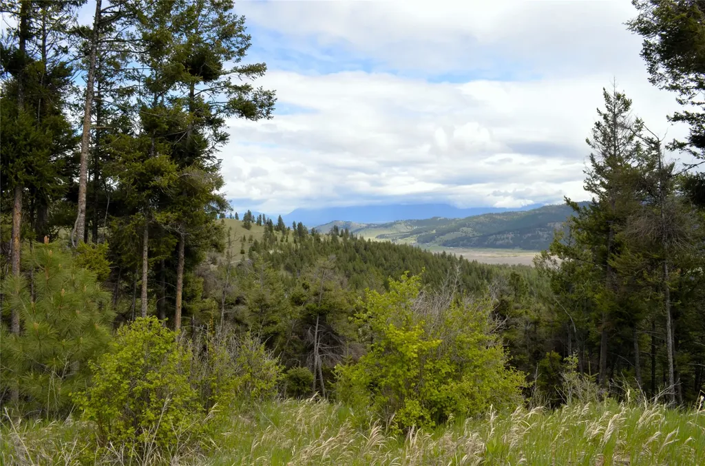 Nhn Bugler Trail Kila MT 59920