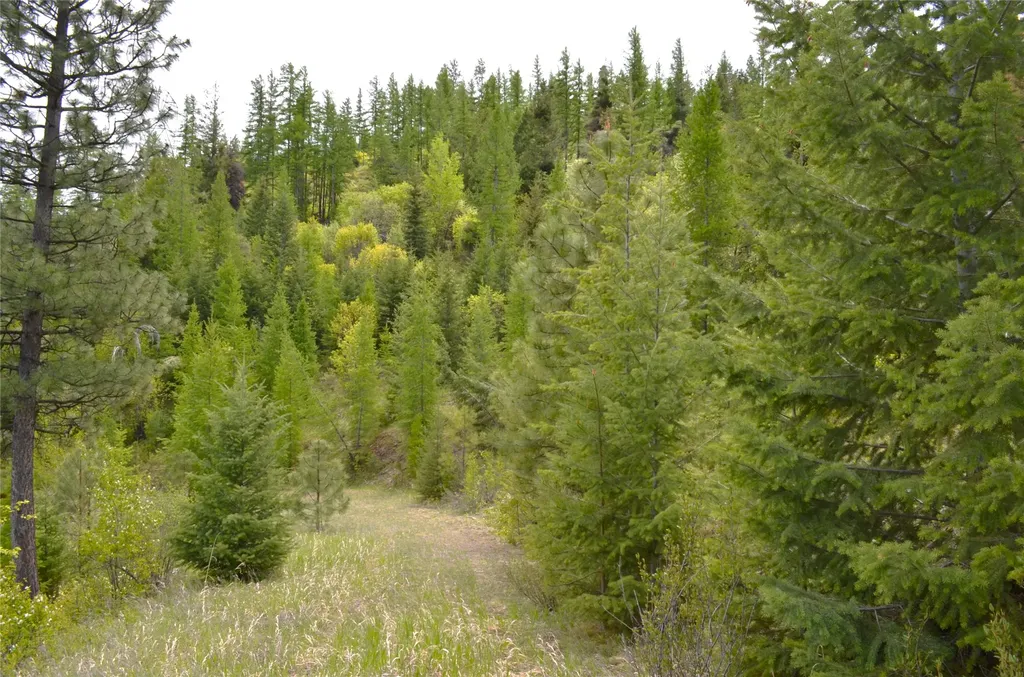 Nhn Bugler Trail Kila MT 59920