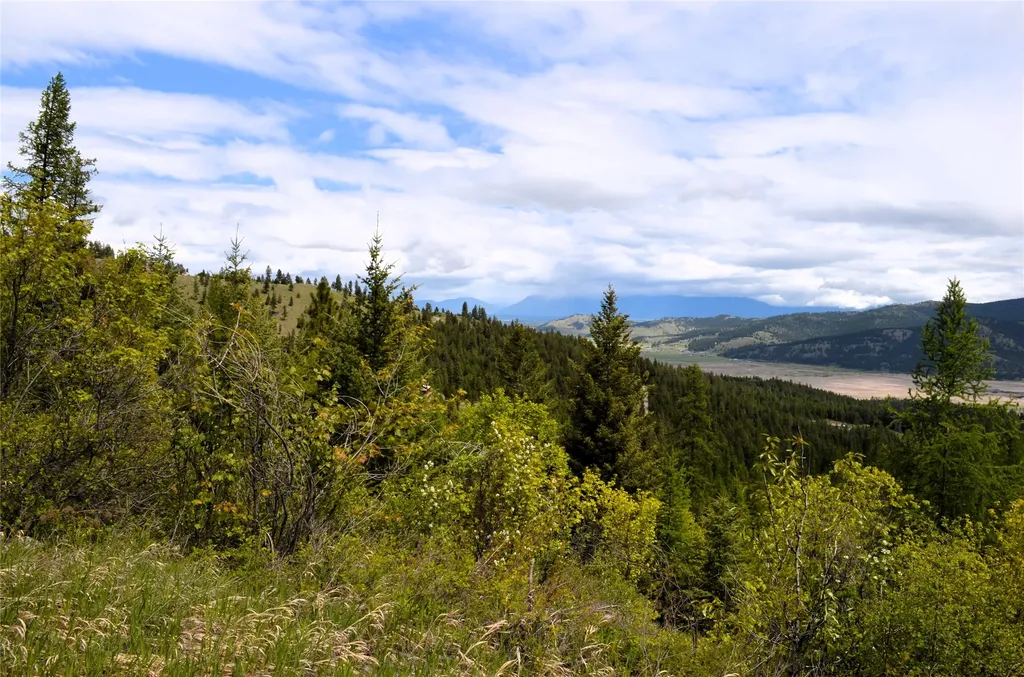 Nhn Bugler Trail Kila MT 59920