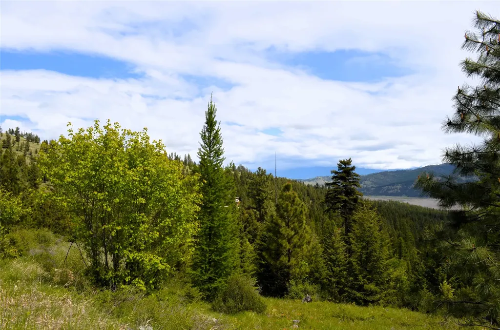 Nhn Bugler Trail Kila MT 59920