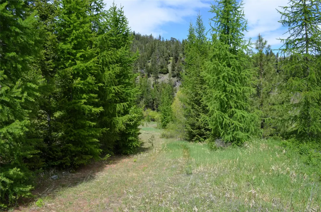 Nhn Bugler Trail Kila MT 59920