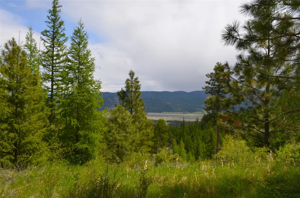 Nhn Bugler Trail Kila MT 59920