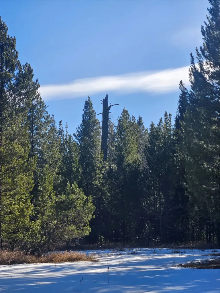 2156 Lone Point Drive Lincoln MT 59639