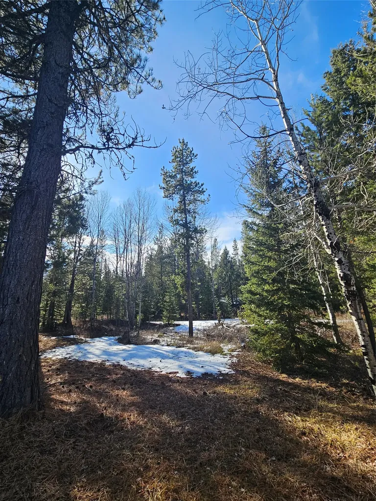 2156 Lone Point Drive Lincoln MT 59639