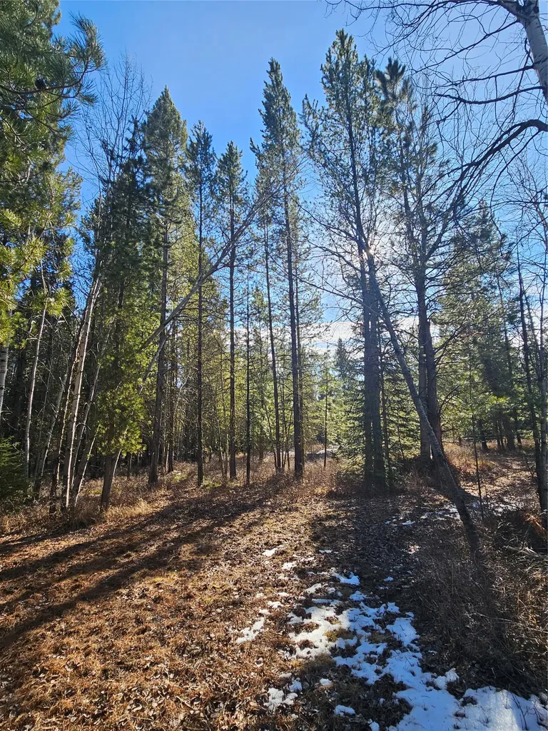2156 Lone Point Drive Lincoln MT 59639