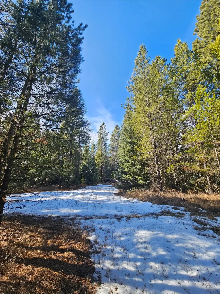 2156 Lone Point Drive Lincoln MT 59639