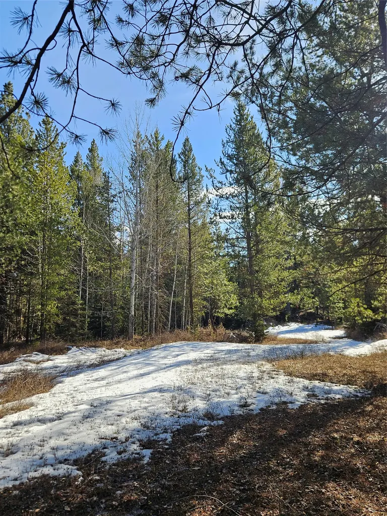 2156 Lone Point Drive Lincoln MT 59639