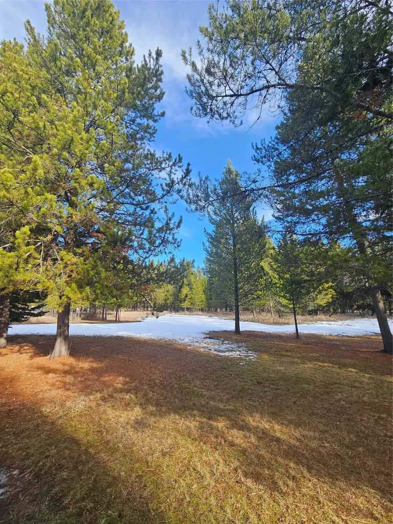 2156 Lone Point Drive Lincoln MT 59639