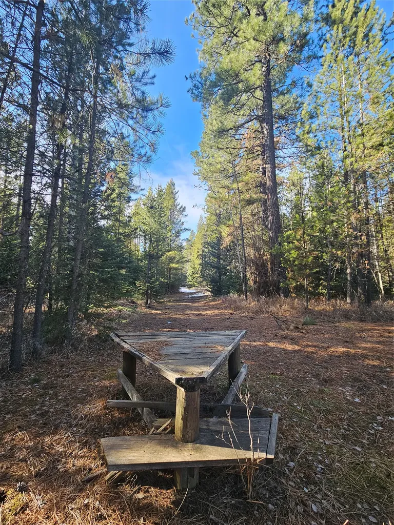 2156 Lone Point Drive Lincoln MT 59639