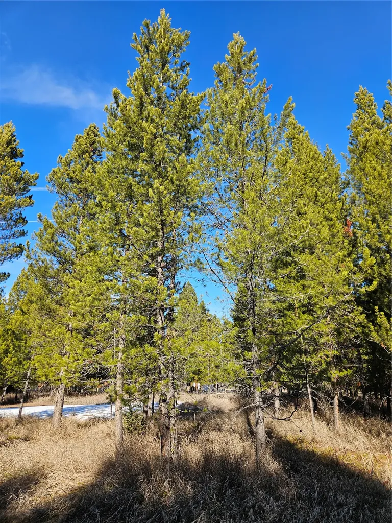 2156 Lone Point Drive Lincoln MT 59639