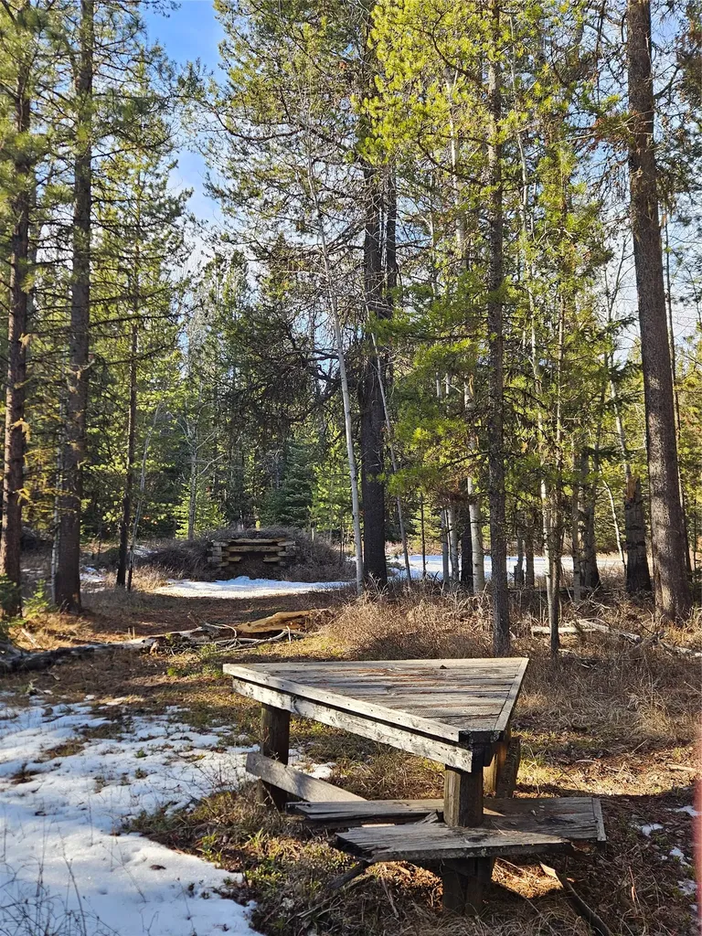 2156 Lone Point Drive Lincoln MT 59639