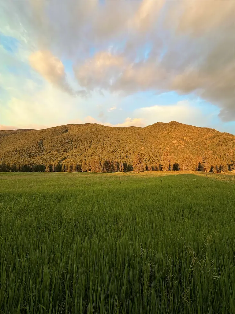 Lot A Jensen Road Columbia Falls MT 59912