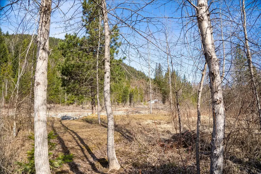 420 St Regis Road Troy MT 59935