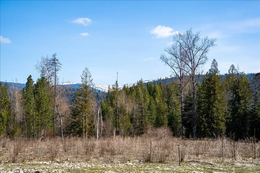 420 St Regis Road Troy MT 59935