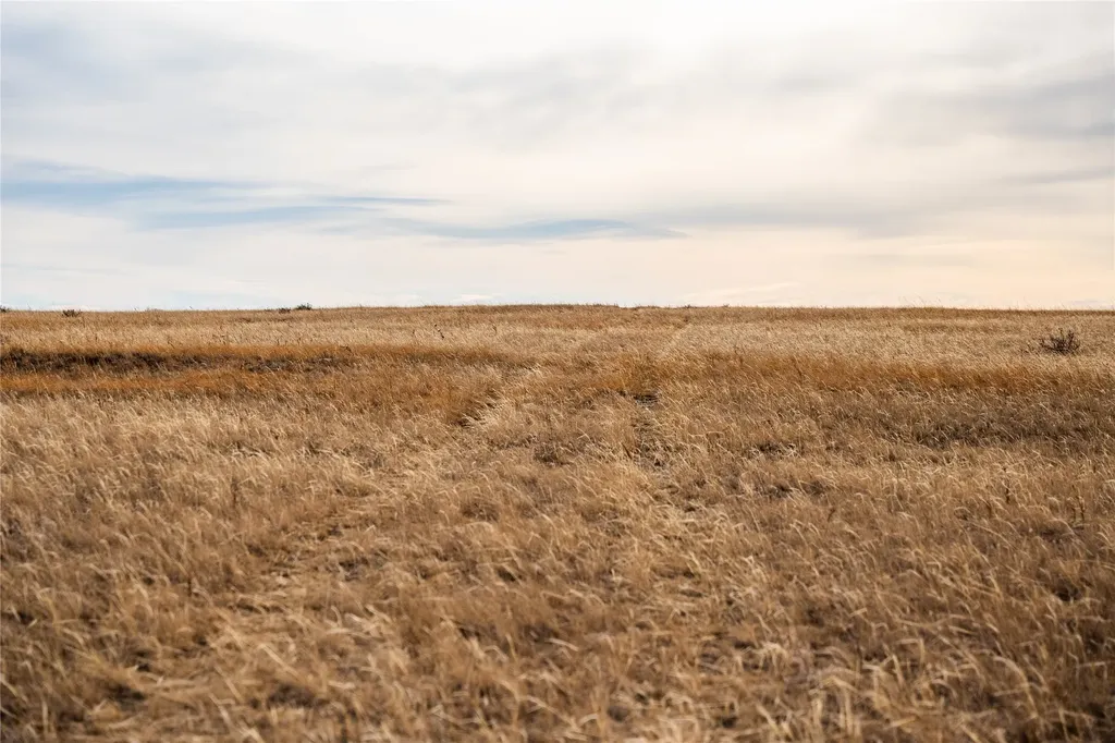 Nhn Mountain View Drive Choteau MT 59422