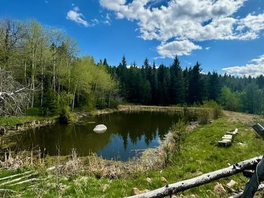 Nhn Perkins Gulch Road Anaconda MT 59711