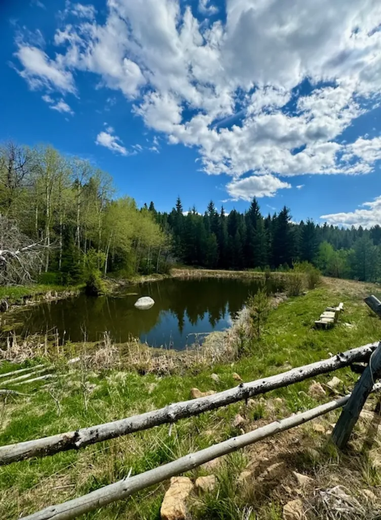 Nhn Perkins Gulch Road Anaconda MT 59711