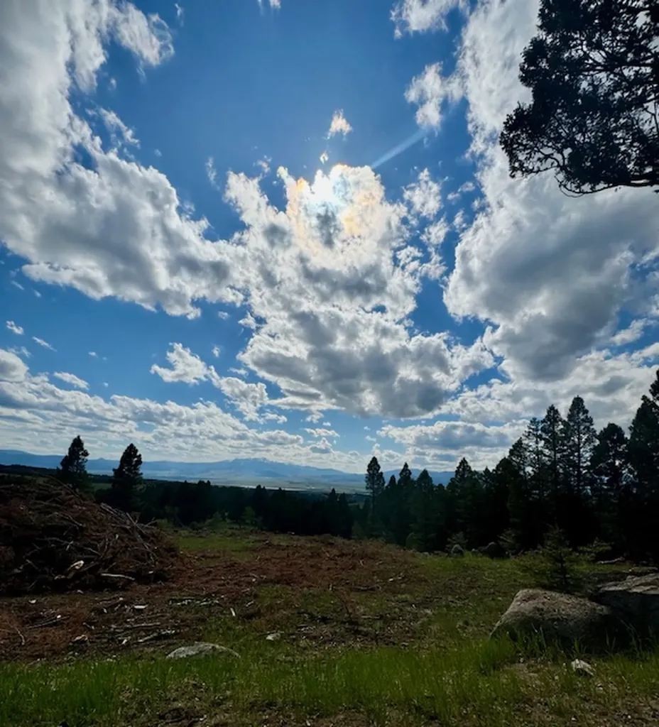 Nhn Perkins Gulch Road Anaconda MT 59711