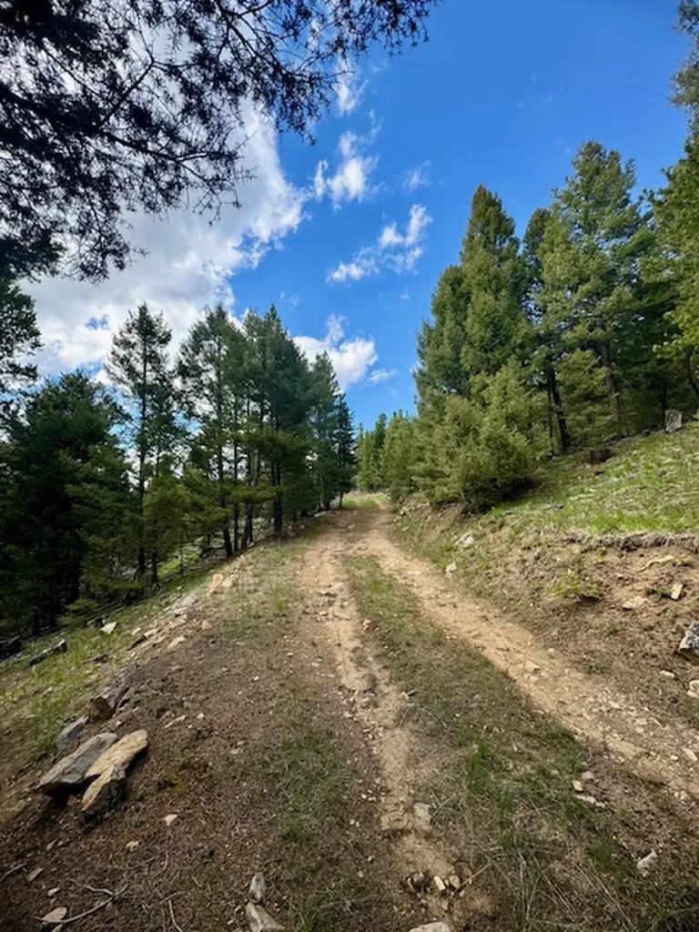 Nhn Perkins Gulch Road Anaconda MT 59711