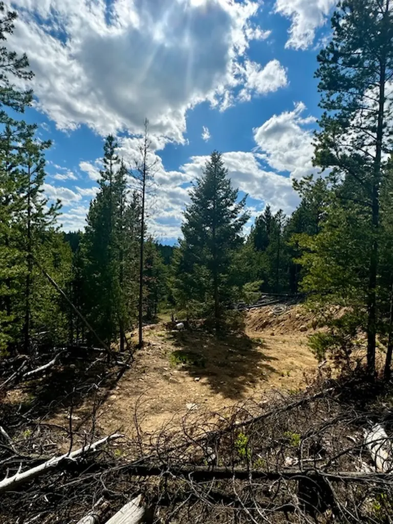 Nhn Perkins Gulch Road Anaconda MT 59711