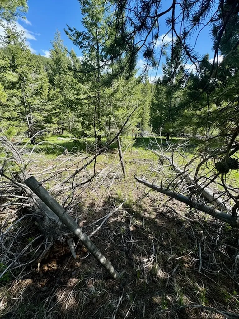 Nhn Perkins Gulch Road Anaconda MT 59711