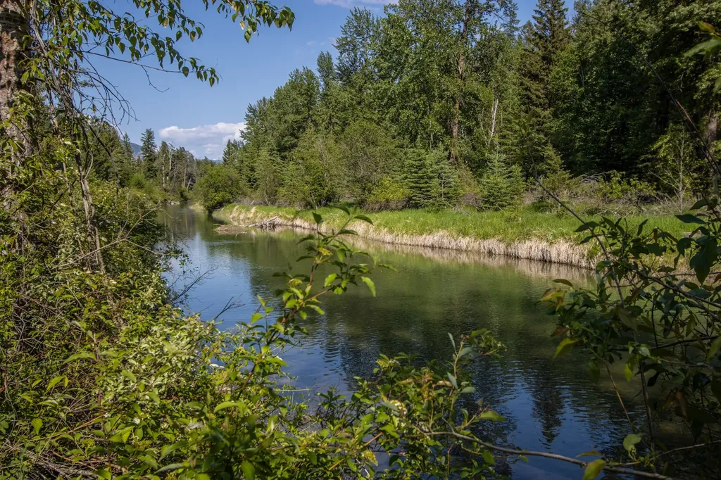 1265 Jellison Road Columbia Falls MT 59912