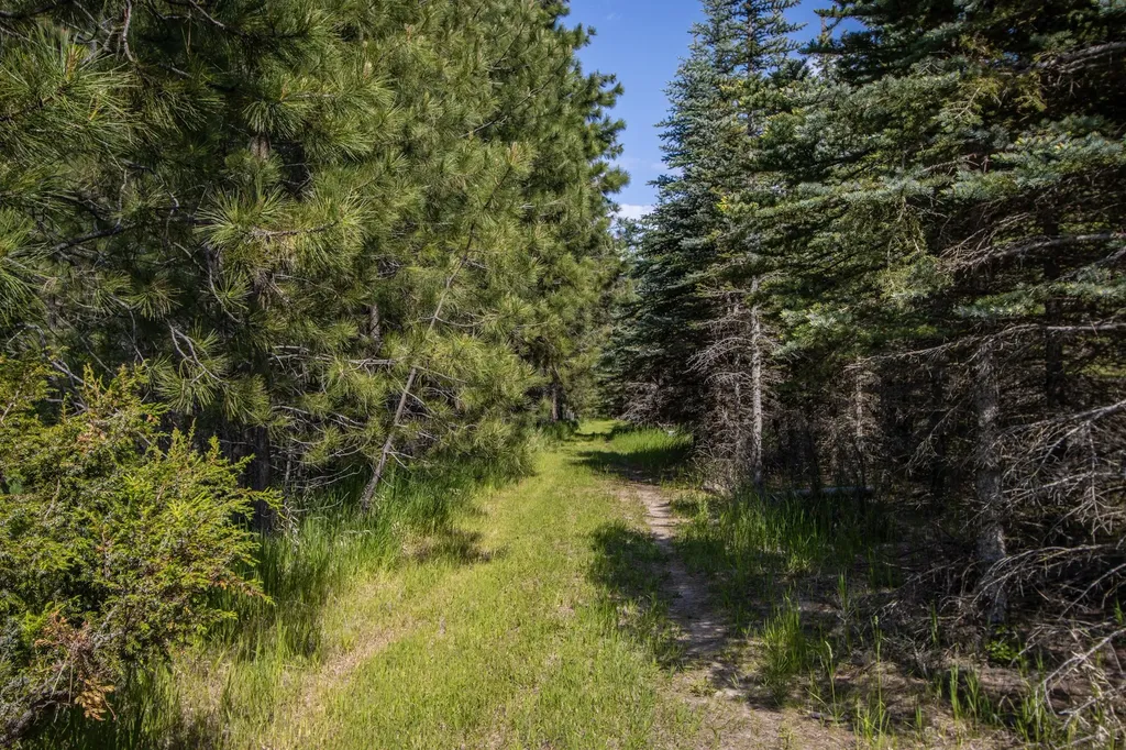 1265 Jellison Road Columbia Falls MT 59912