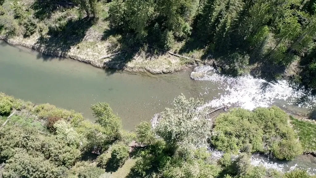 1265 Jellison Road Columbia Falls MT 59912