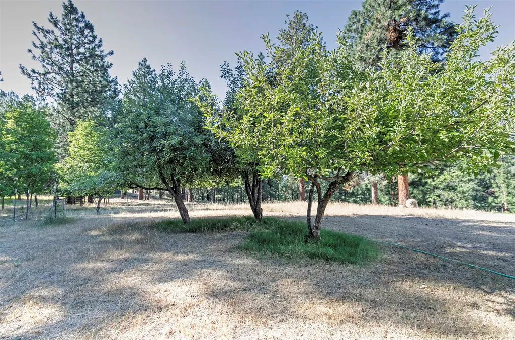 821 Fred Burr Road Victor MT 59875