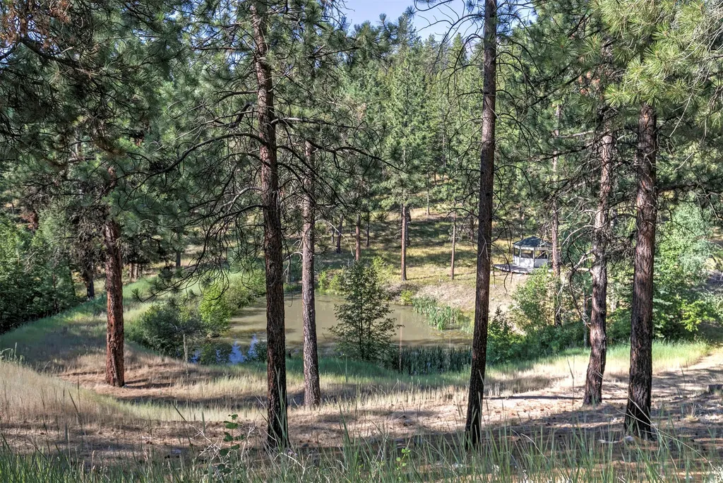 821 Fred Burr Road Victor MT 59875
