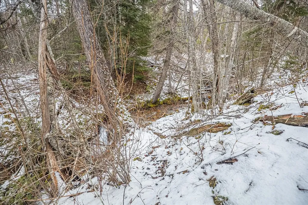 2236 Griffith Creek Road Eureka MT 59917