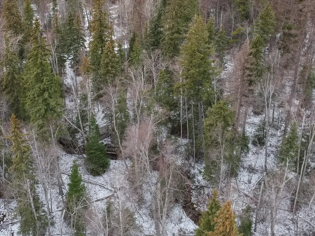 2236 Griffith Creek Road Eureka MT 59917