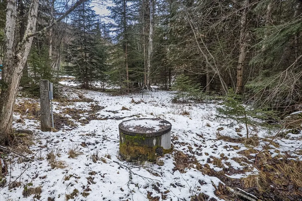 2236 Griffith Creek Road Eureka MT 59917