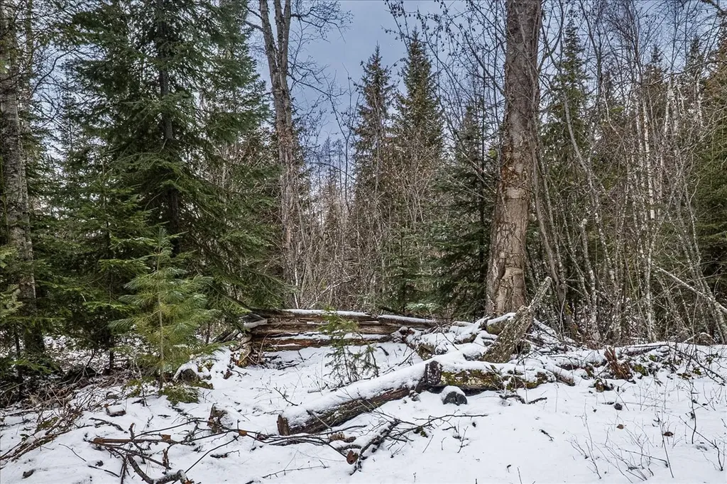 2236 Griffith Creek Road Eureka MT 59917