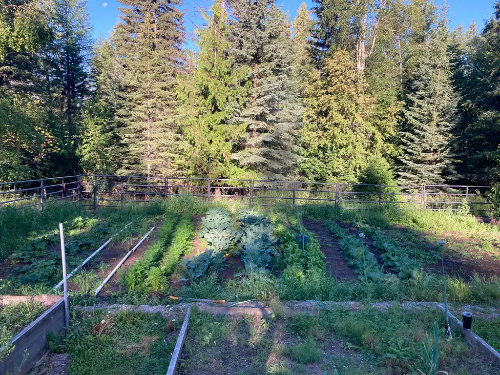 2236 Griffith Creek Road Eureka MT 59917