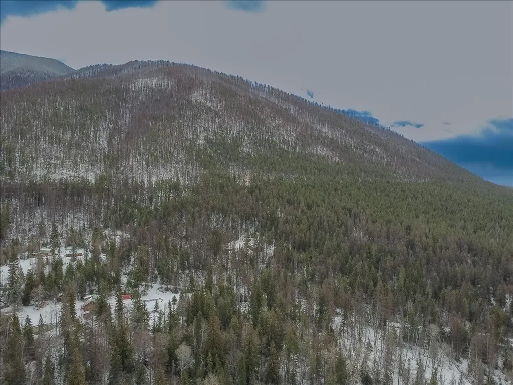 2236 Griffith Creek Road Eureka MT 59917