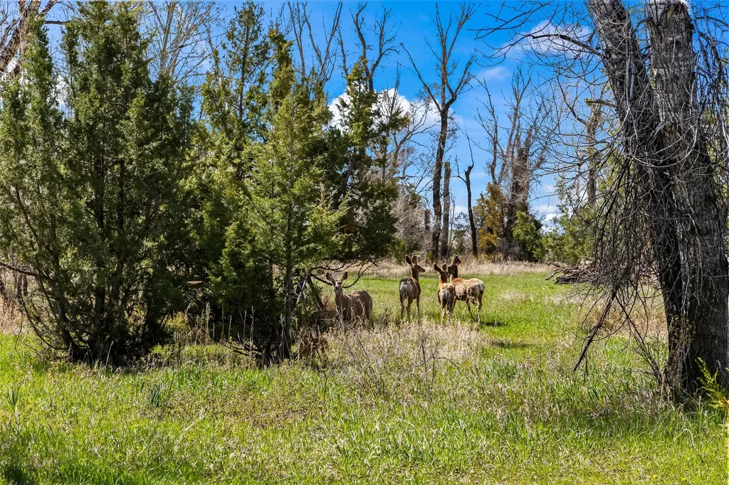 460 Lower Deep Creek Road Townsend MT 59644