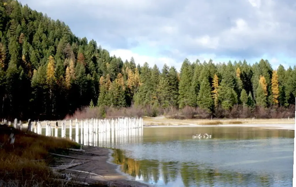 776 Summerville Road Eureka MT 59917