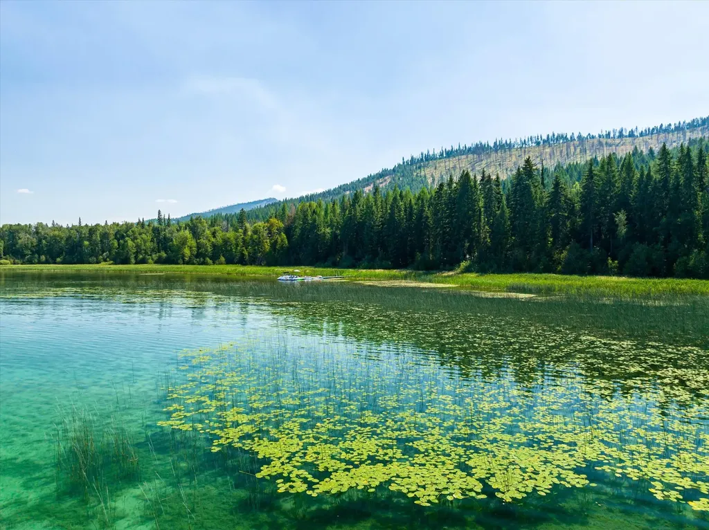 5985 N Ashley Lake Road Kila MT 59920
