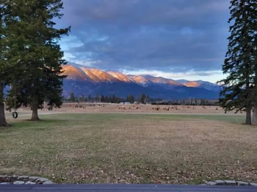 1020 Middle Road Columbia Falls MT 59912