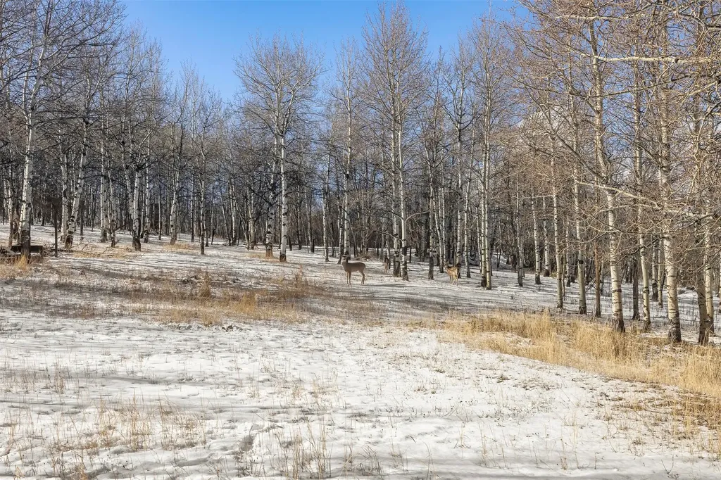 1370 Sunnyside Road Anaconda MT 59711