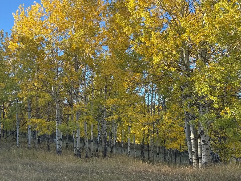 1370 Sunnyside Road Anaconda MT 59711