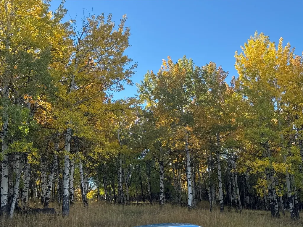 1370 Sunnyside Road Anaconda MT 59711